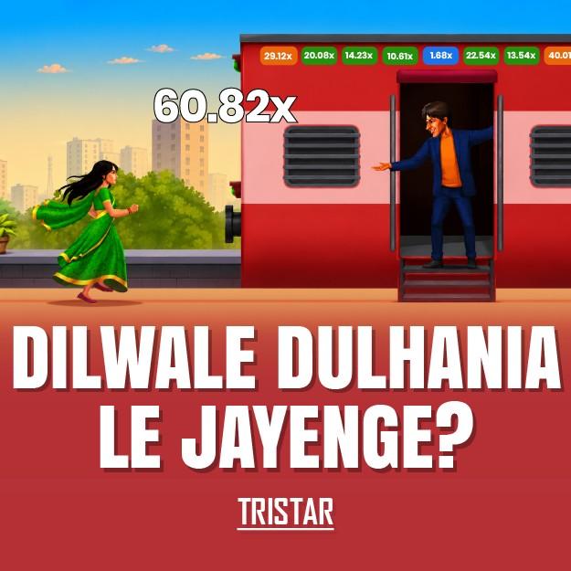 Bhai Dulhaniya Le Jayenge