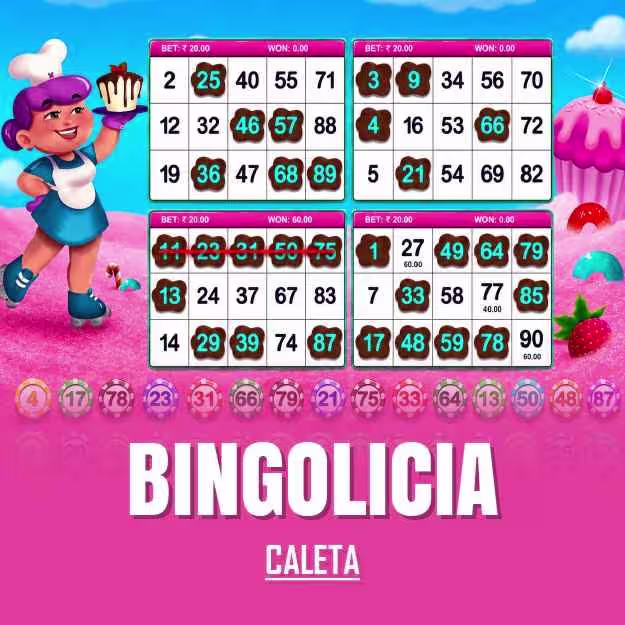 Bingolicia