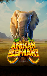 African Elephant