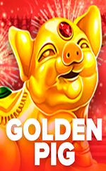 Golden Pig