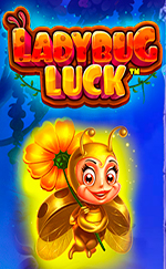 Ladybug Luck